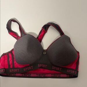 Sport Dark Gray and Vibrant Pink Sports Bra
